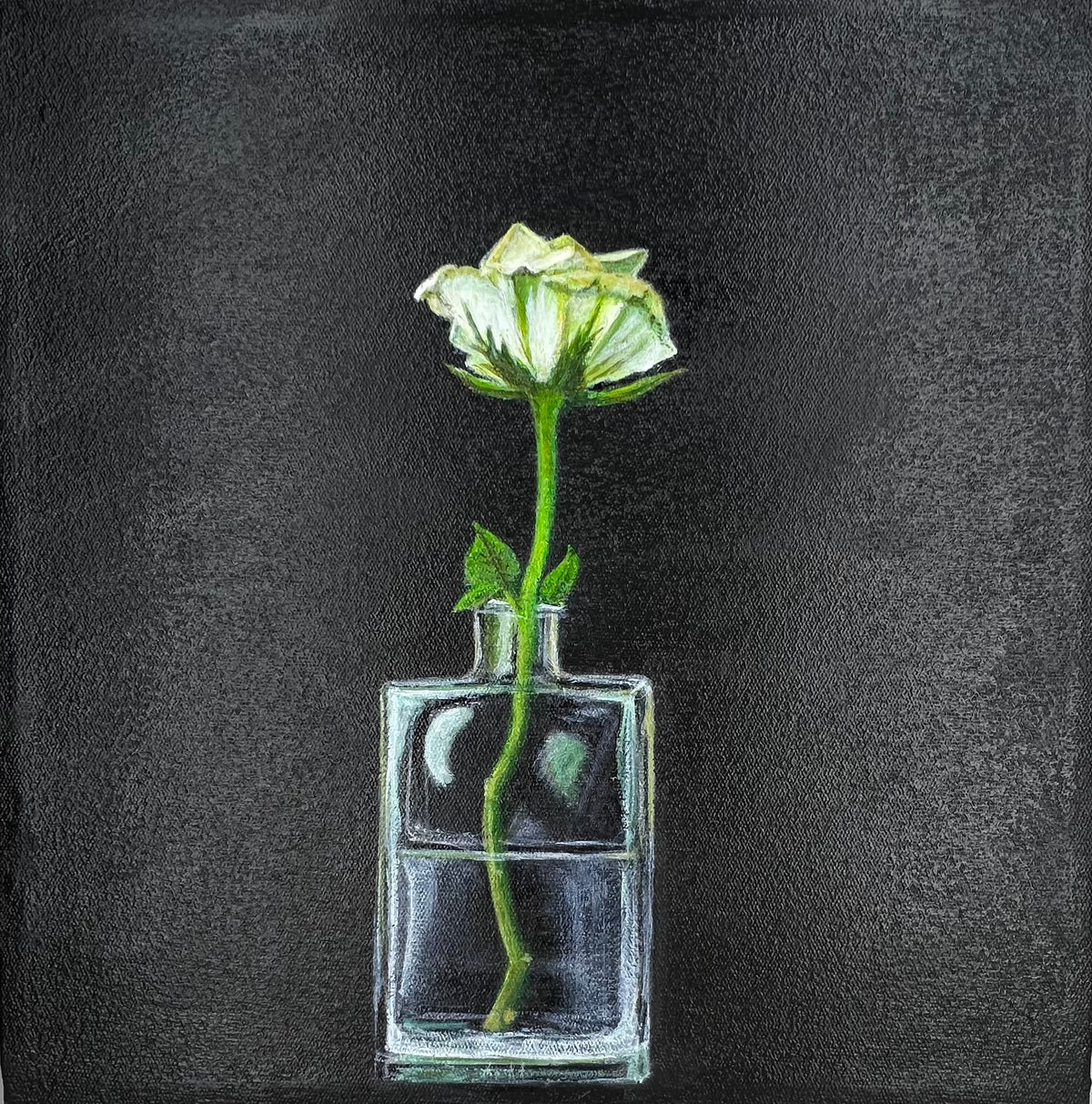 Shirley du Toit 1