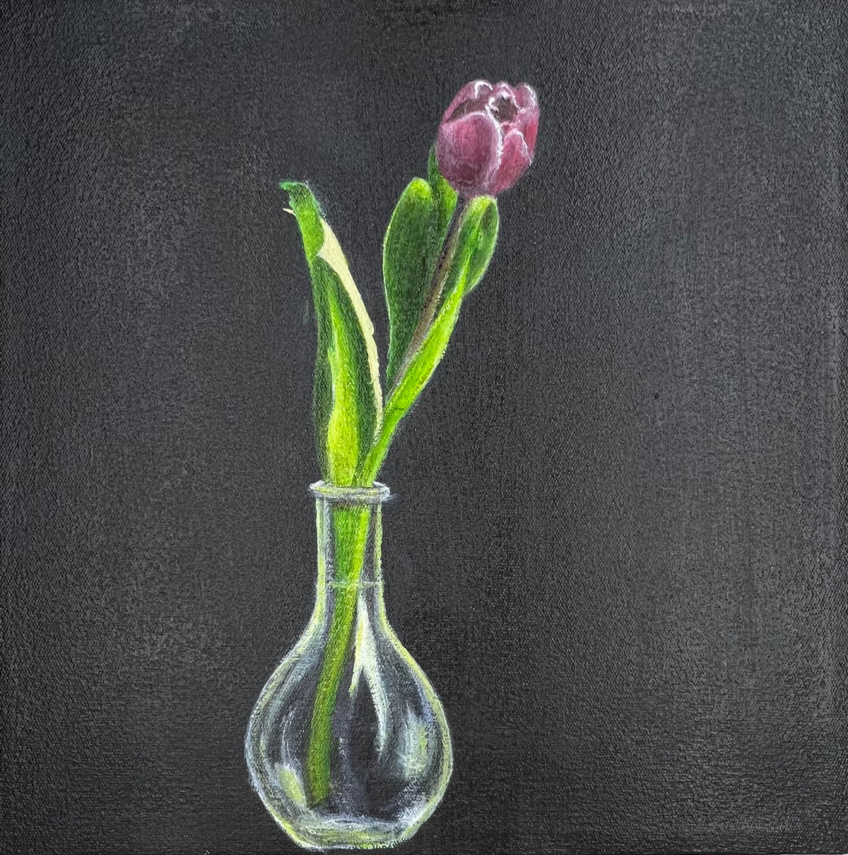Shirley du Toit 2