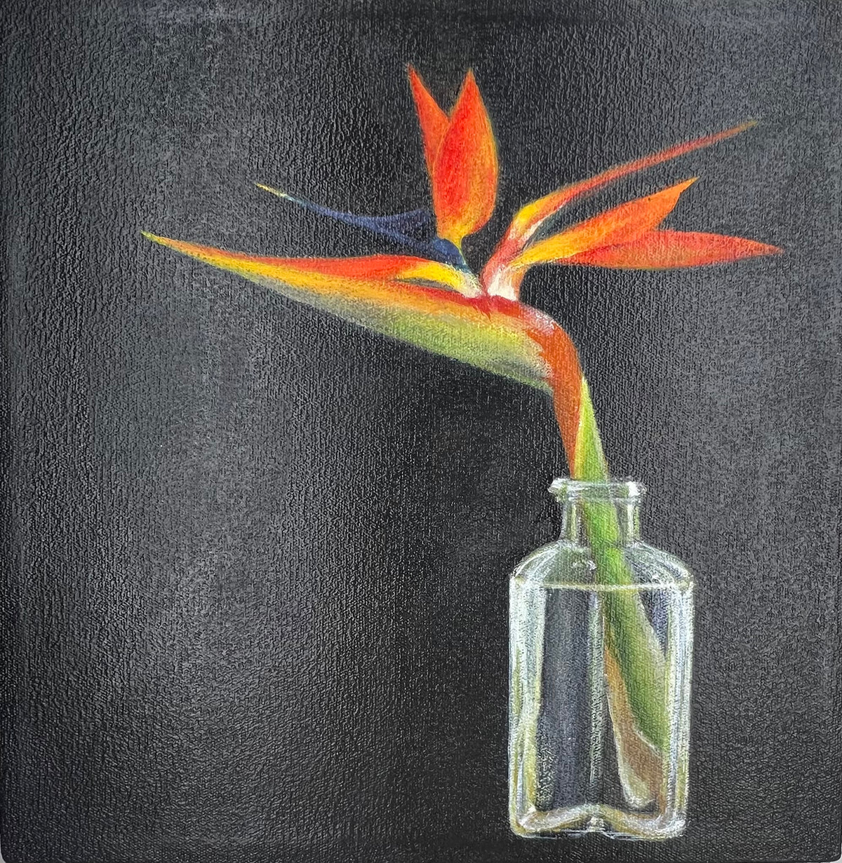 Shirley du Toit 3